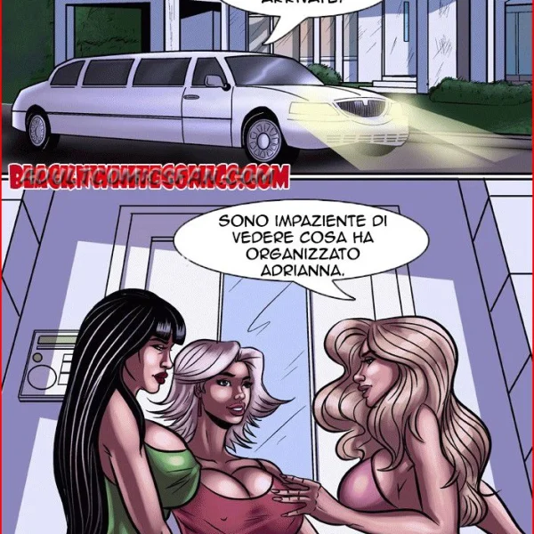 Le casalinghe di Beaverton (26/72)