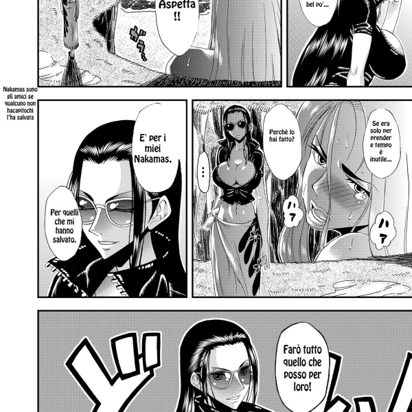 Le avventure di robin (22/22)