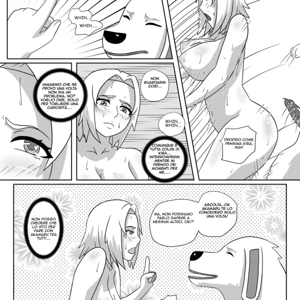 Sakura e Akamaru (9/17)