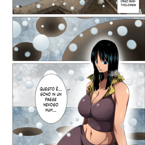 La nuova vita di Nico Robin (2/23)