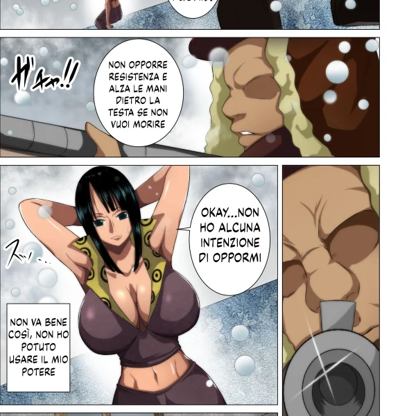 La nuova vita di Nico Robin (3/23)