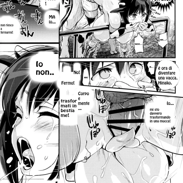 Il diario di Hinako (20/22)