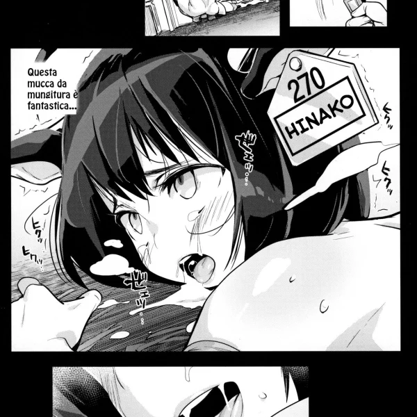 Il diario di Hinako (22/22)