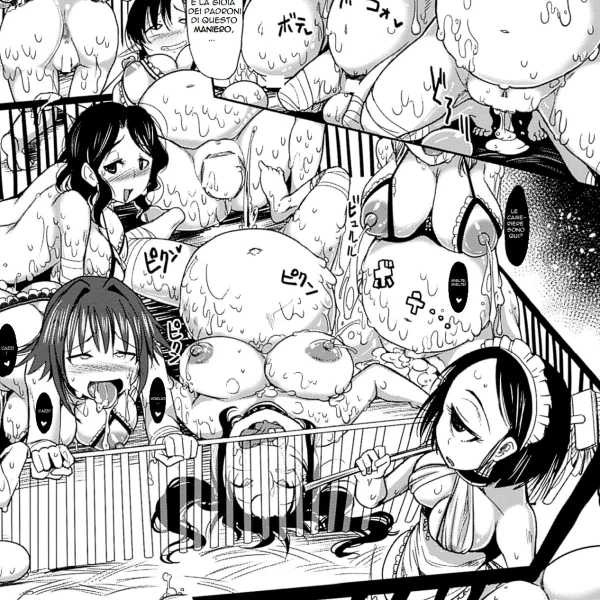 Scrofa n.533 (2/14)
